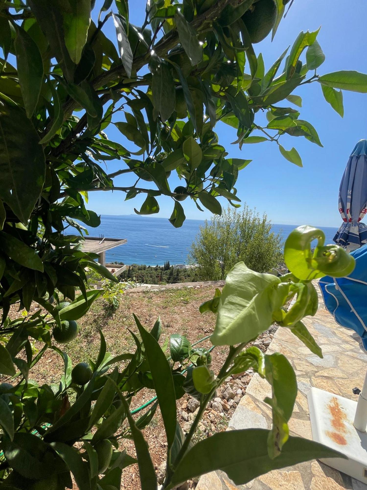 Endless Blue Apartments Dhermi Exterior photo